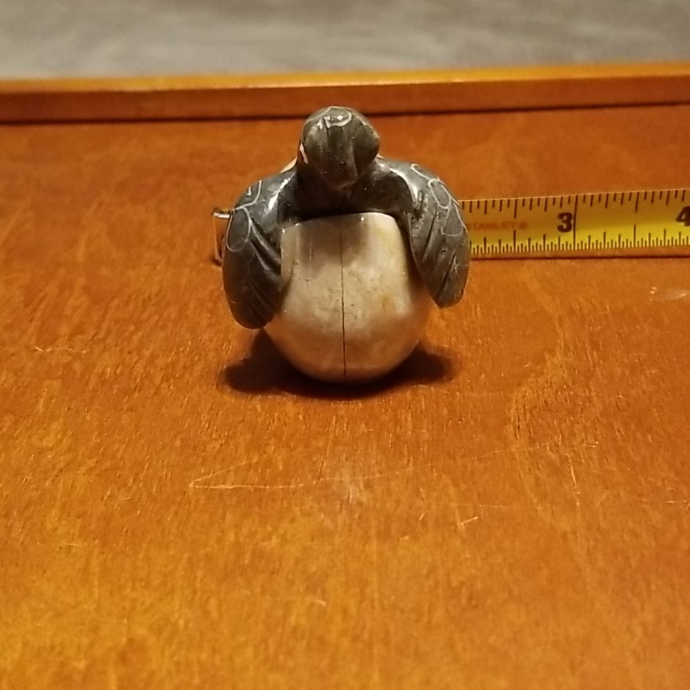 Small hatching turtle - Picture 2 of 4